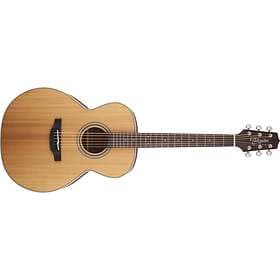 Takamine GN20