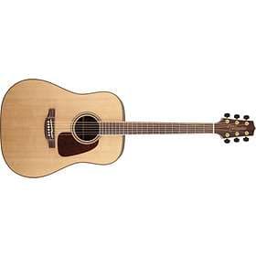 Takamine GD93