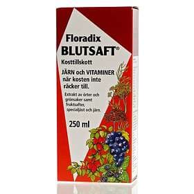 Salus Floradix Blutsaft 250ml