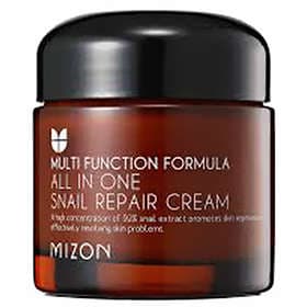 Mizon All in One Snail Repair Cream 75ml