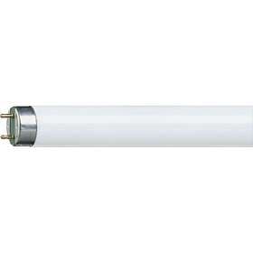 Osram Lumilux T8 Lumilux 840 3350lm 4000K G13 36W