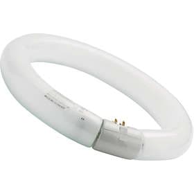 Sylvania T9 Circline Plus 830G10q 22W