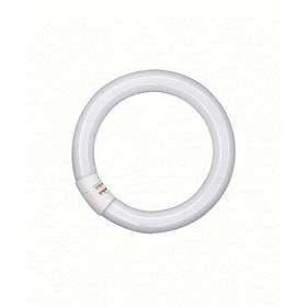 Osram Fluorescent Circular 1350lm 2700K G10q 22W