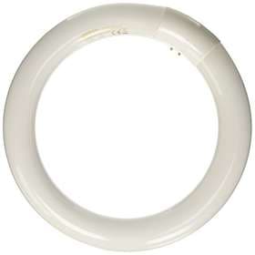 Osram Lumilux T9 Circular 865 1300lm 6500K G10q 22W