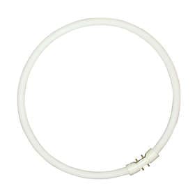 Sylvania T5 Circline Plus 830 3300lm 3000K 2GX13 40W