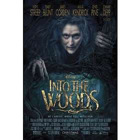 Into the Woods (DVD)