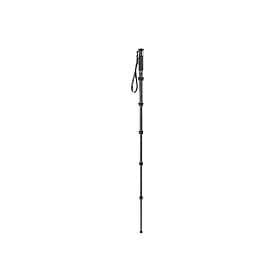 Gitzo Monopod GM2562T