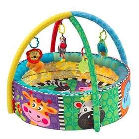 Playgro Ball Activity Nest Babygym