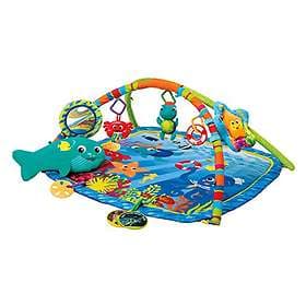 Baby Einstein Nautical Friends Babygym