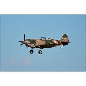 FMS P-40B Flying Tiger 1400mm PNP