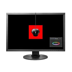 Eizo ColorEdge CS2420CAL 24" Full HD IPS