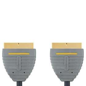 Bandridge Blue Gold Scart - Scart 2m