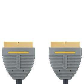 Bandridge Blue Gold Scart - Scart 3m