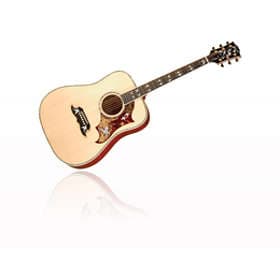 Gibson Acoustic Doves in Flight