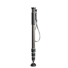 Gitzo Carbon Monopod GM2542