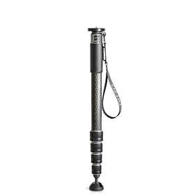 Gitzo Carbon Monopod GM4552L