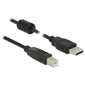 DeLock Ferrit USB A - USB B 2.0 2m
