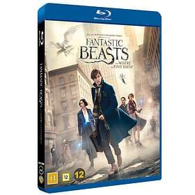 Fantastic Beasts and Where to Find Them (Blu-ray)