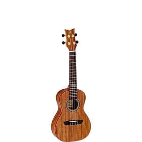 Ortega RUACA-CC