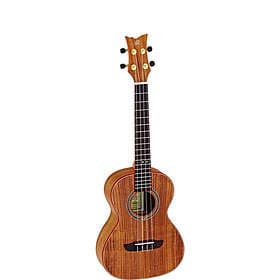 Ortega RUACA-TE