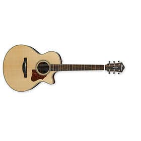 Ibanez AE205JR (CE)