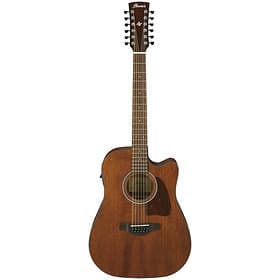 Ibanez Artwood AW5412CE (CE)