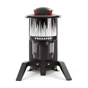 Predator Dynamic