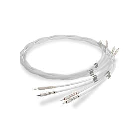 Chord Sarum T 2Banana - 2Banana (par) 2m