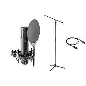 sE Electronics SE2200