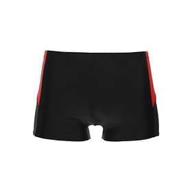 Speedo Dive Aquashorts (Herr)