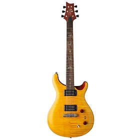 PRS SE Paul's Guitar