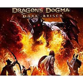 Dragon's Dogma: Dark Arisen (Switch)