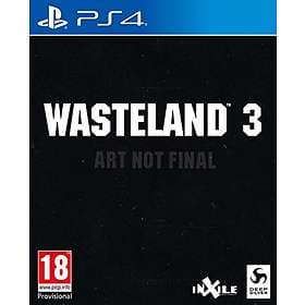 Wasteland 3 (PS4)