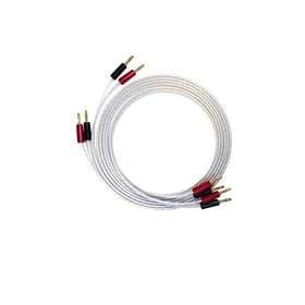 QED Reference XT25 2Banana - 2Banana (par) 5m