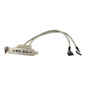 StarTech USBPLATELP
