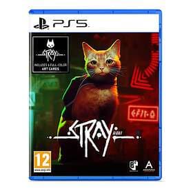 Stray (PS5)