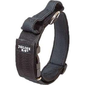 Julius K-9 Collar With Handle 47-67cm