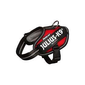 Julius K-9 IDC Powair Summer Harness 3XS