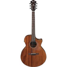 Ibanez AE295-LGS (CE)