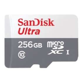 SanDisk Ultra Lite microSDXC Class 10 UHS-I U1 A1 100MB/s SDSQUNR 256GB