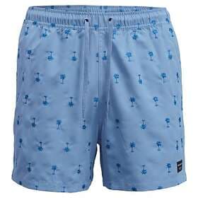 Björn Borg Santiago Badshorts (Herr)