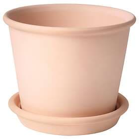 IKEA Muskotblomma Ø15cm