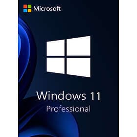 Microsoft Windows 11 Pro MUI (ESD)