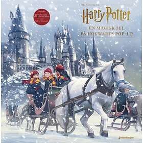 Harry Potter Pop Up Adventskalender 2021