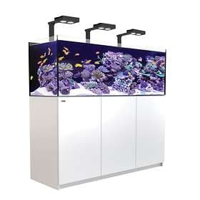 Red Sea Reefer Deluxe 350