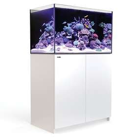 Red Sea Reefer XL 525 V3