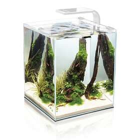 Aquael Shrimp Set Smart LED 19L