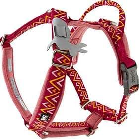 Hurtta Razzle Dazzle Y-Harness 