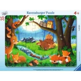 Ravensburger Pussel Frame Sleeping Animals 35 Bitar
