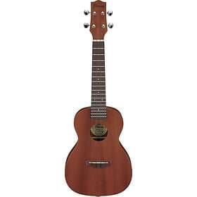 Ibanez UKS100